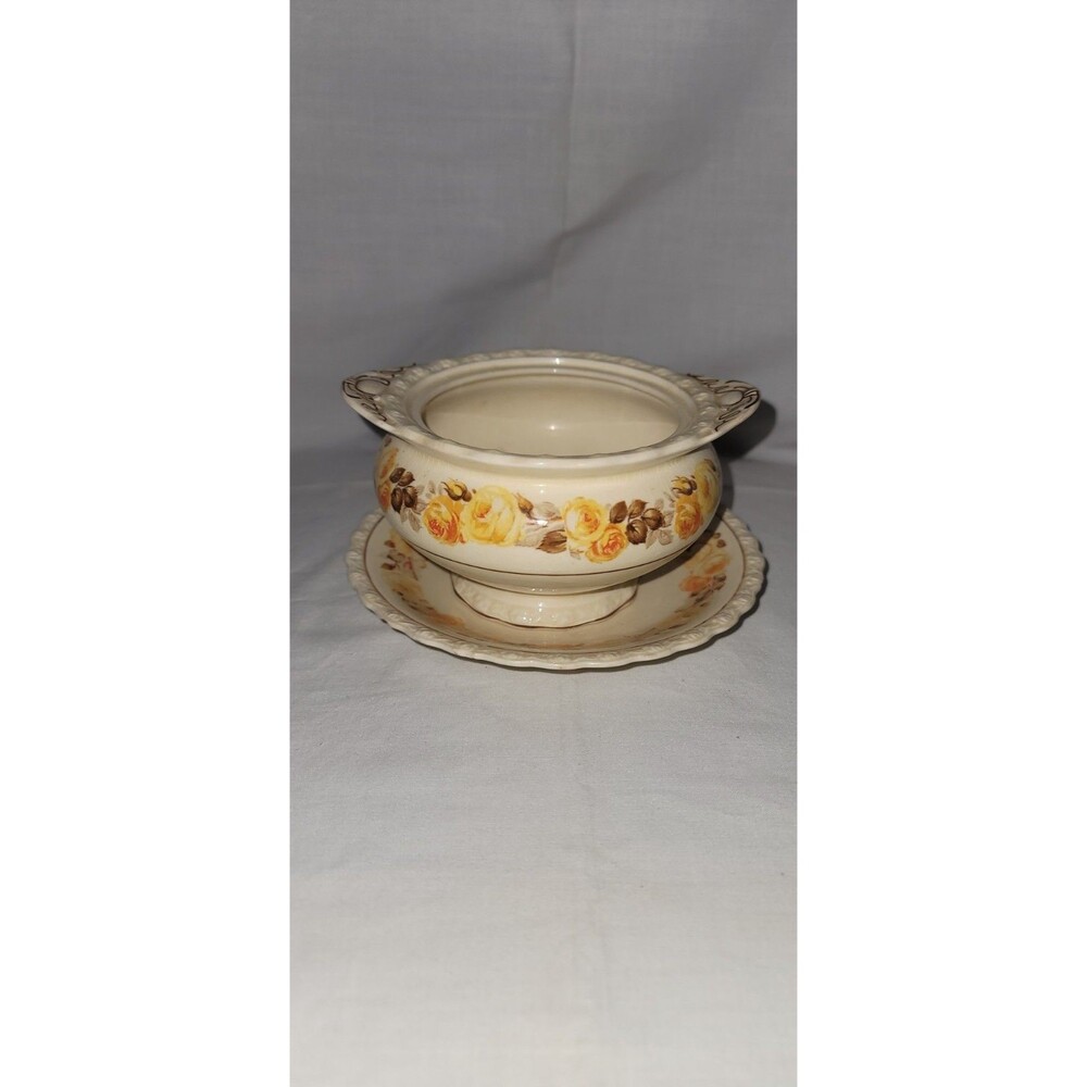Vintage Myott Staffordshire Ceramic Cream Soup Bowl Cup & Saucer Set Leaf Floral